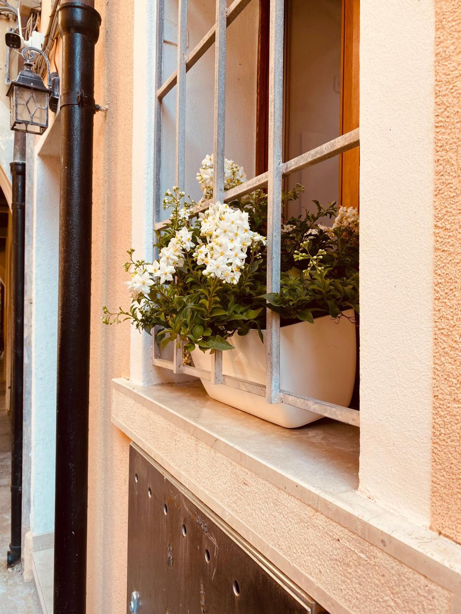 Casabella Chioggia Casa Indipendente Con Corte Eksteriør bilde